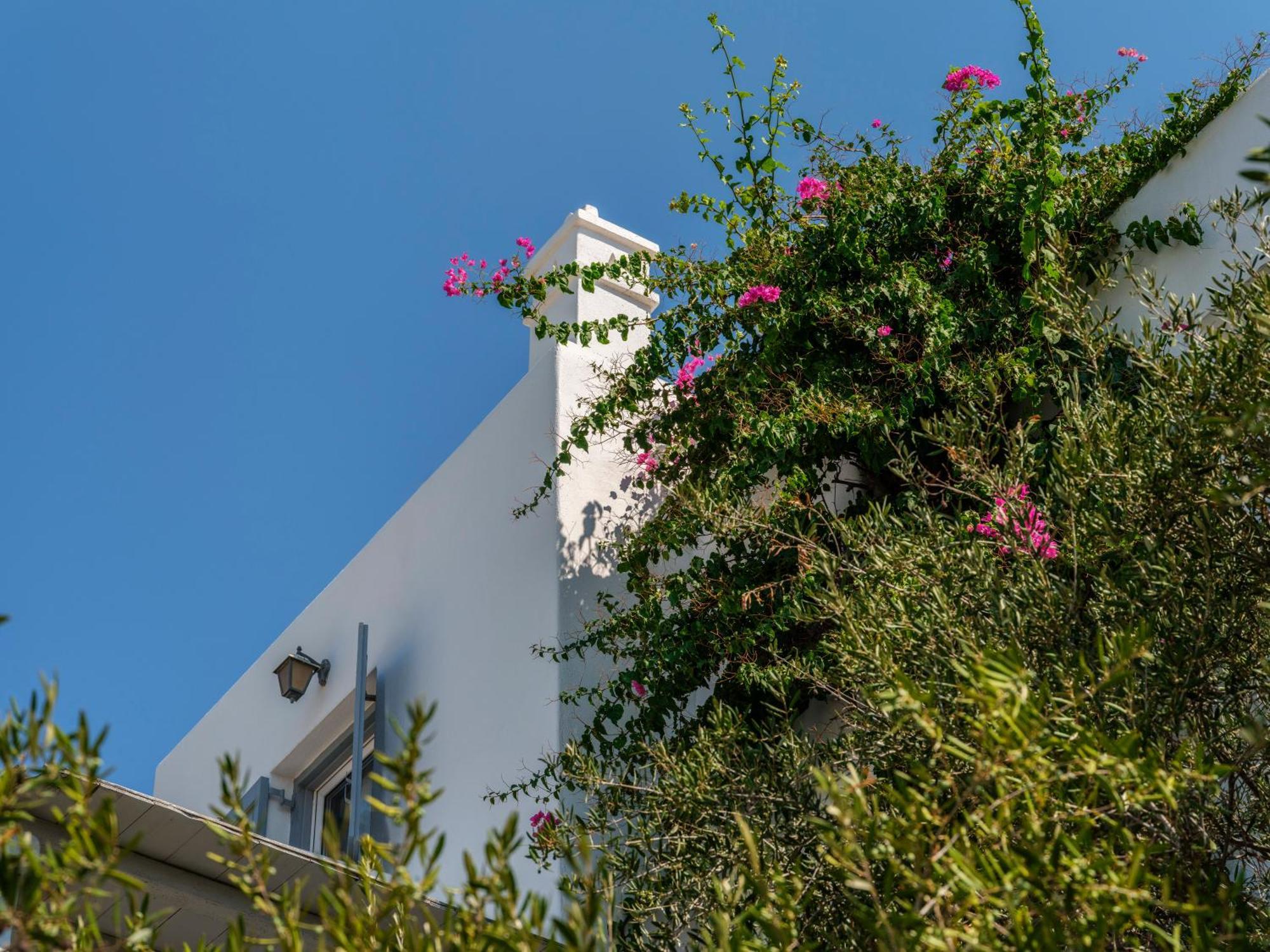 Baybees Sea View Residence Platys Gialos  ภายนอก รูปภาพ