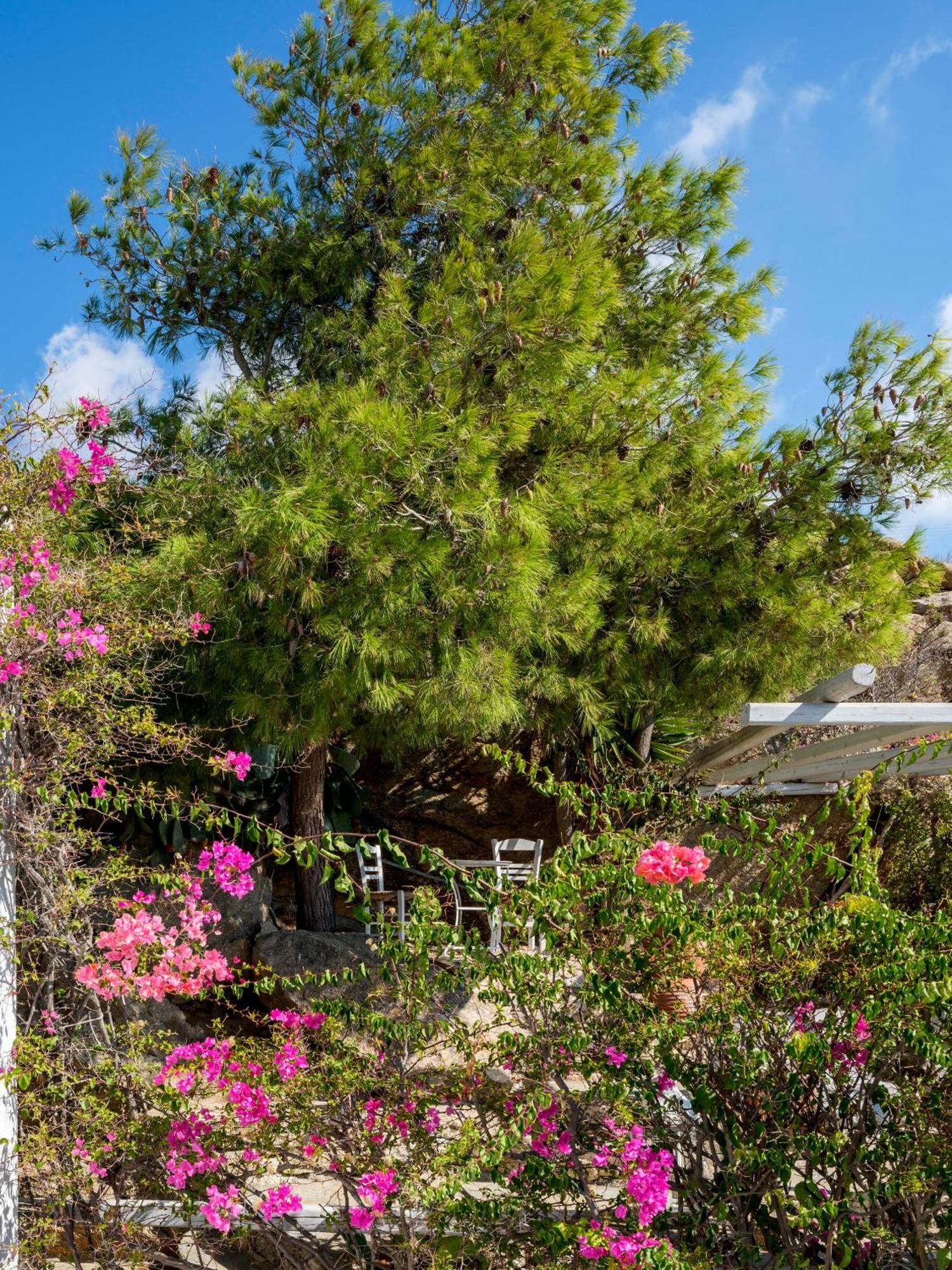 Baybees Sea View Residence Platys Gialos  ภายนอก รูปภาพ